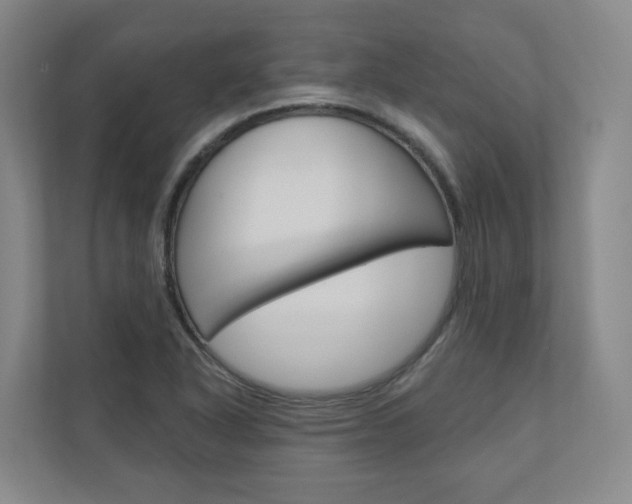 X0000110901318200906180938