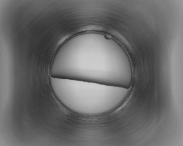 X0000110901321200906180938