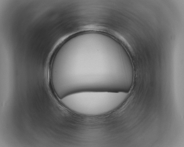 X0000110901323200906180938