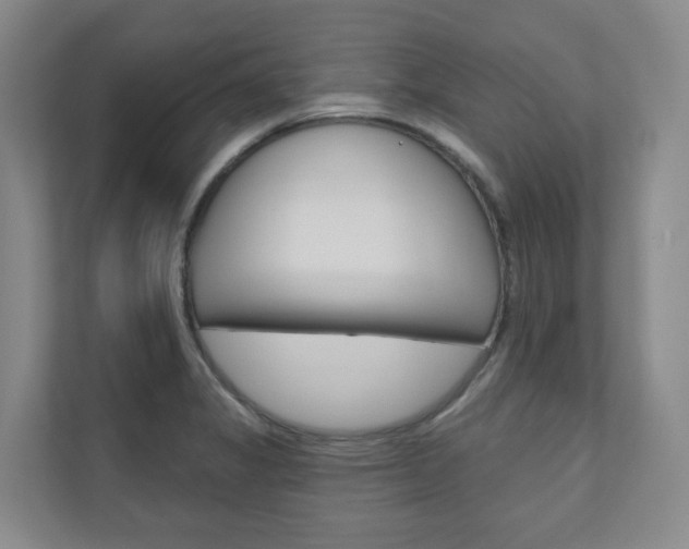X0000110901325200906180938