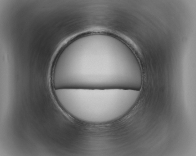 X0000110901327200906180938