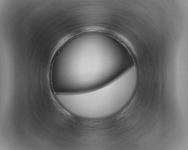 X0000110901330200906180938