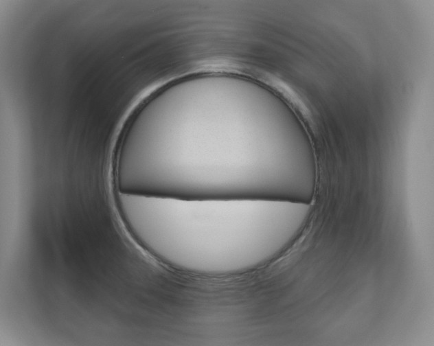 X0000110901331200906180938