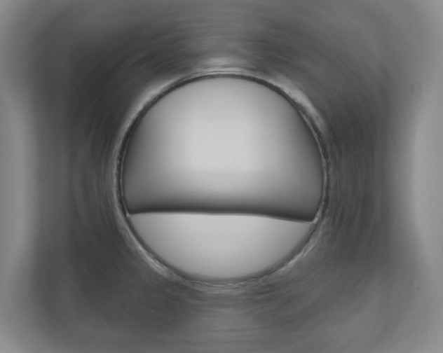 X0000110901333200906180938