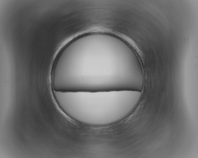 X0000110901335200906180938