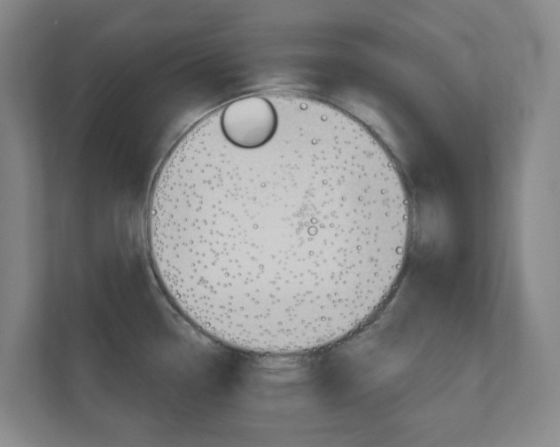 X0000110901338200906180938