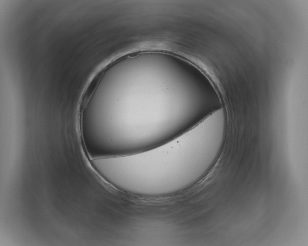 X0000110901342200906180938