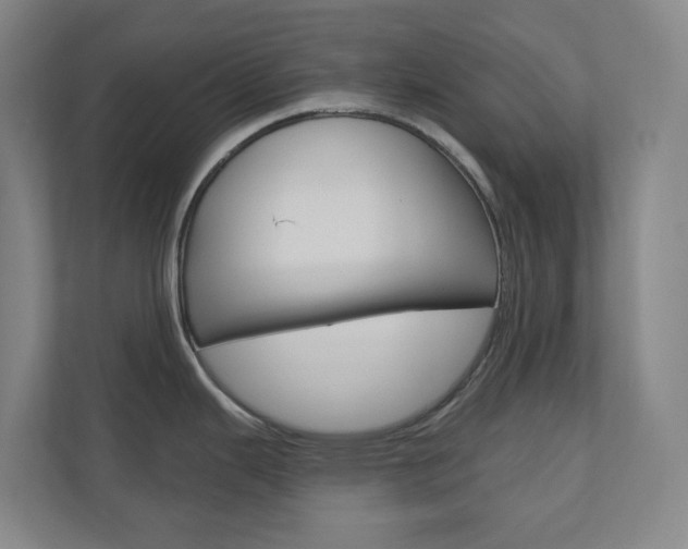 X0000110901343200906180938