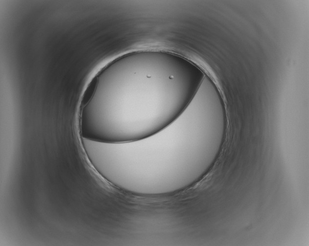 X0000110901344200906180938