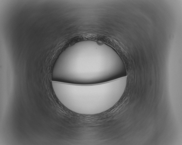 X0000110901345200906180938