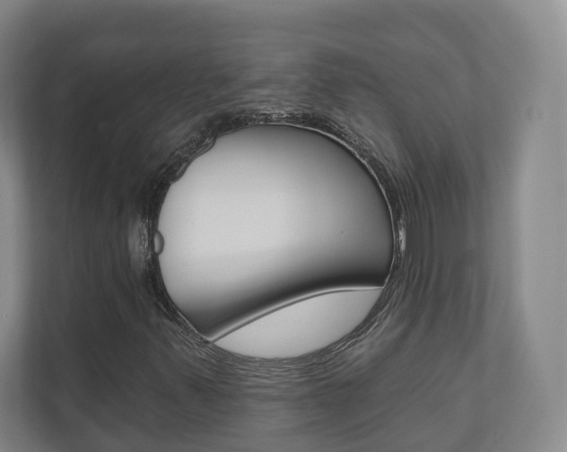 X0000110901347200906180938