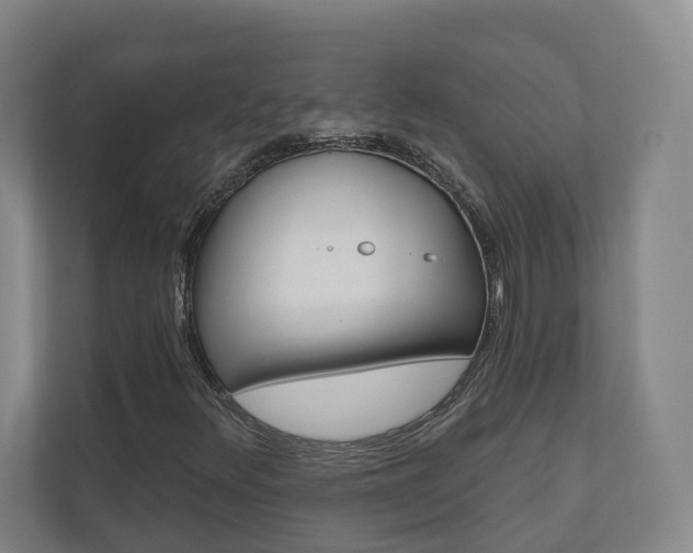 X0000110901348200906180938