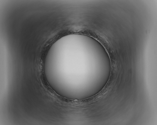 X0000110901349200906180938