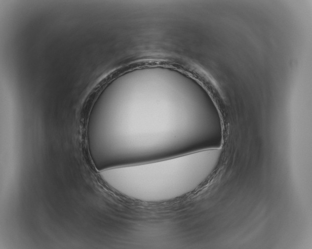 X0000110901352200906180938