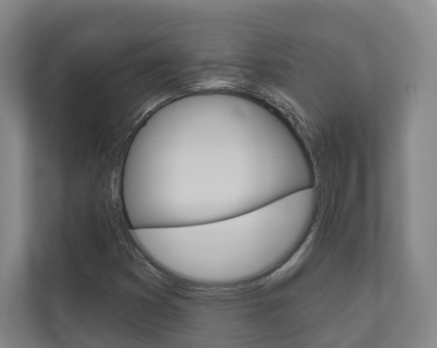 X0000110901353200906180938
