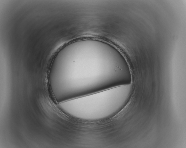 X0000110901355200906180938
