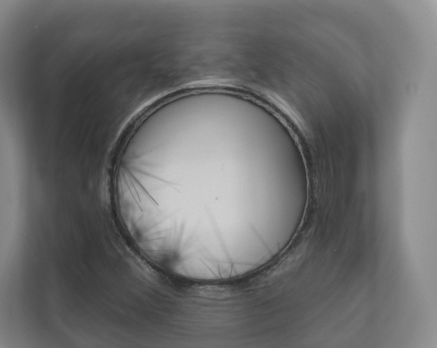 X0000110901356200906180938