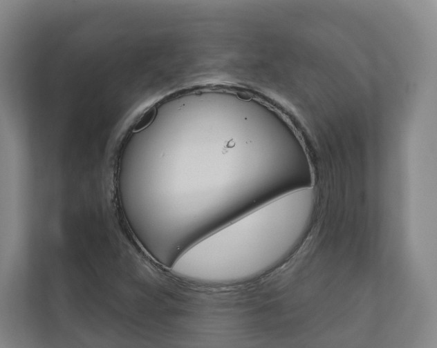 X0000110901359200906180938