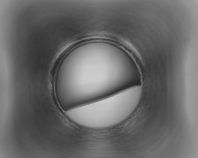X0000110901360200906180938