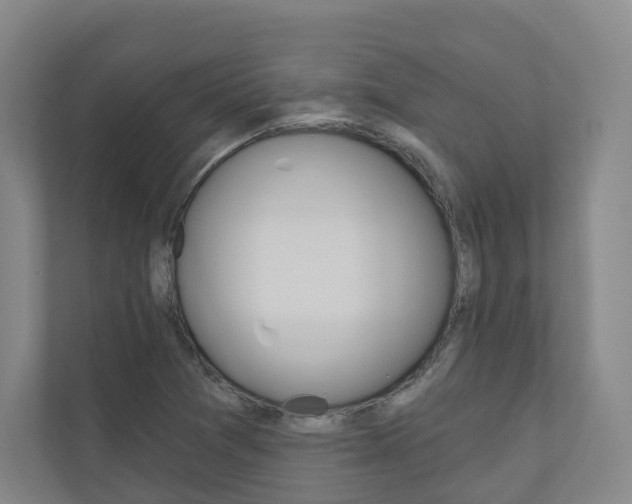 X0000110901361200906180938