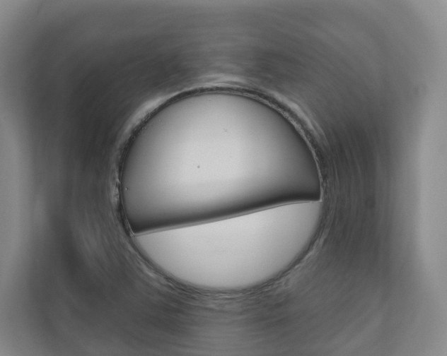 X0000110901363200906180938