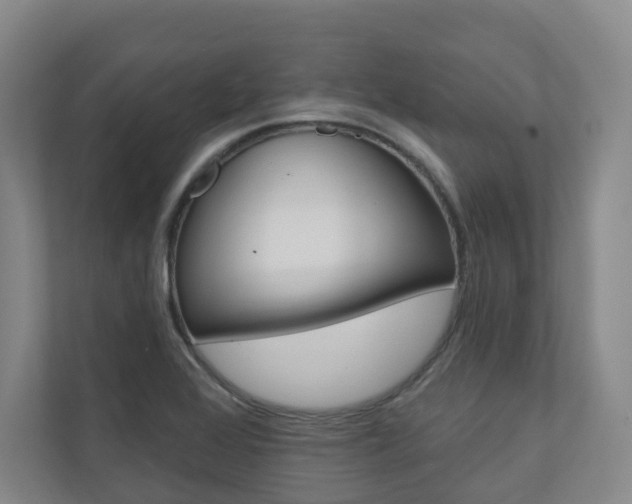 X0000110901368200906180937