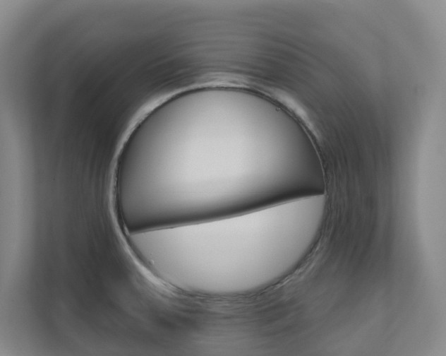 X0000110901379200906180937