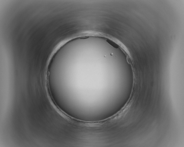 X0000110901381200906180937