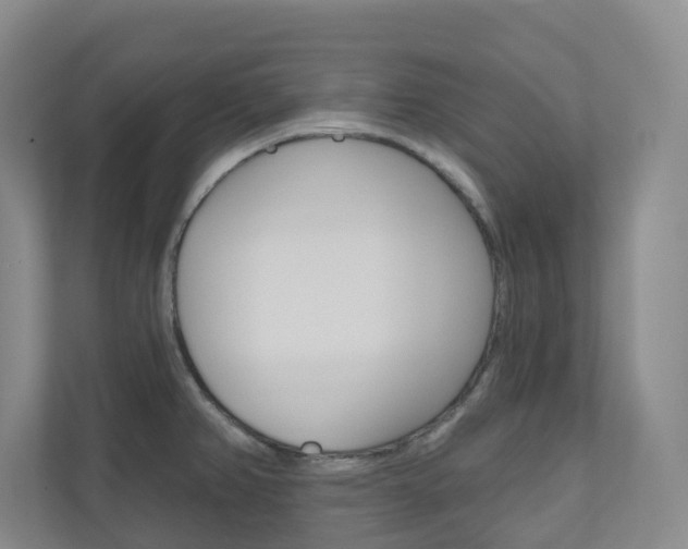 X0000110901382200906180937