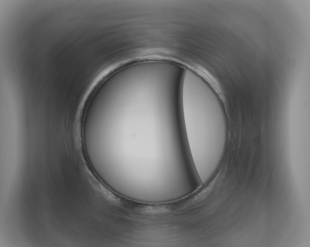 X0000110901384200906180937