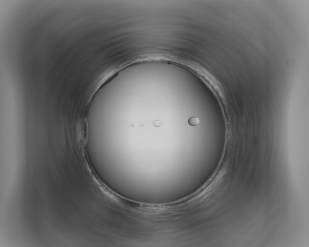 X0000110901385200906180937