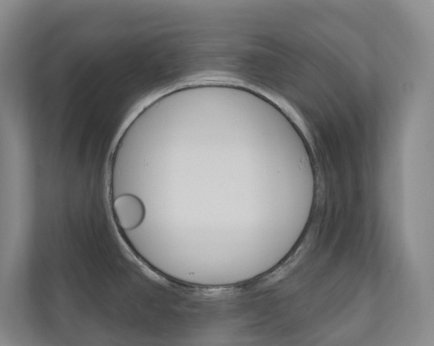 X0000110901390200906180937