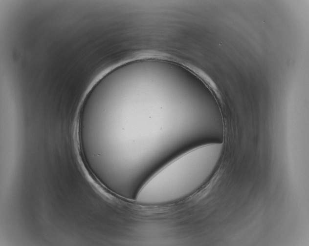 X0000110901391200906180937