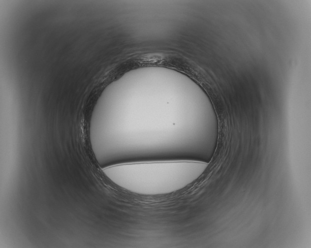 X0000110901394200906180937
