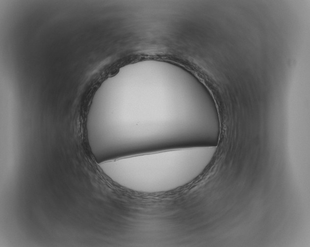 X0000110901398200906180937