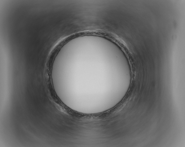 X0000110901400200906180937