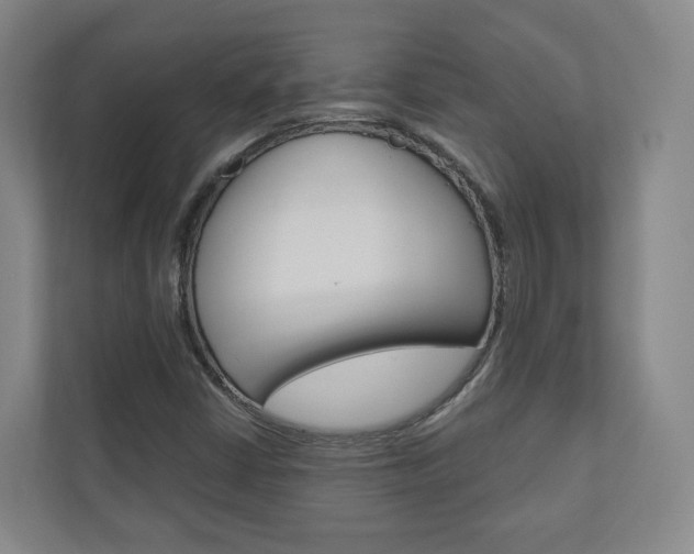 X0000110901402200906180937