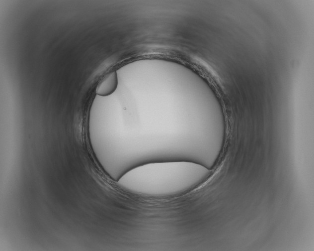 X0000110901403200906180937