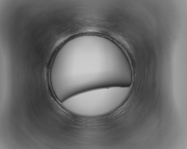 X0000110901404200906180937