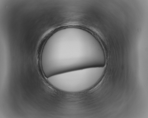 X0000110901406200906180937