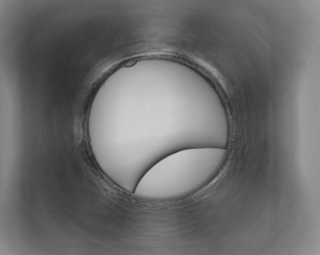 X0000110901407200906180937