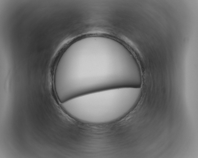 X0000110901408200906180937