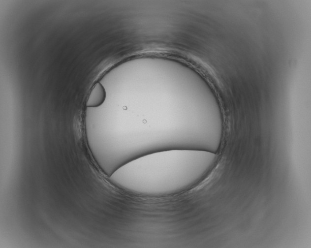 X0000110901409200906180937