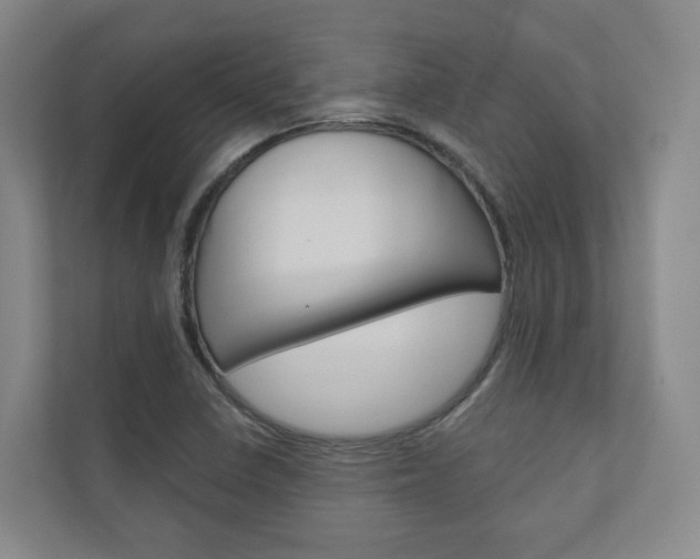 X0000110901410200906180937