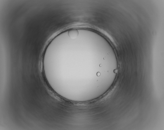 X0000110901413200906180937