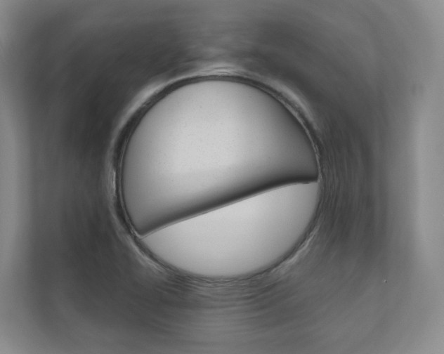 X0000110901414200906180937
