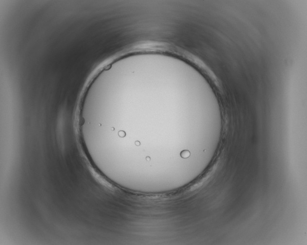 X0000110901421200906180937