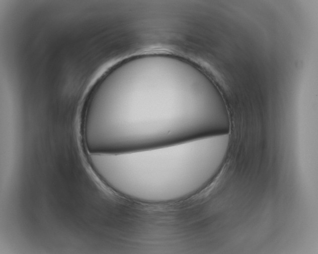 X0000110901422200906180937
