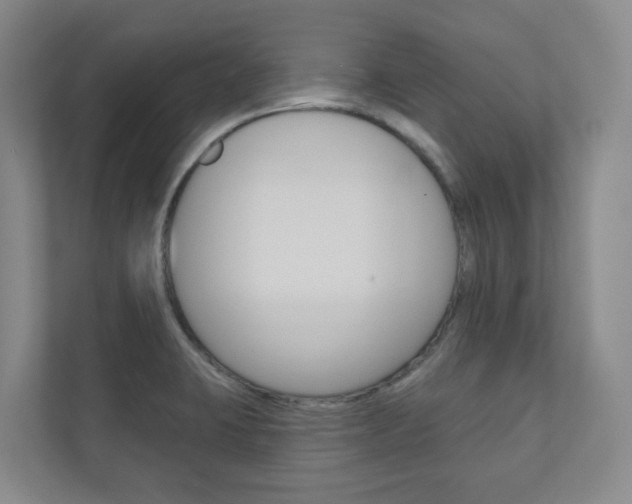 X0000110901423200906180937