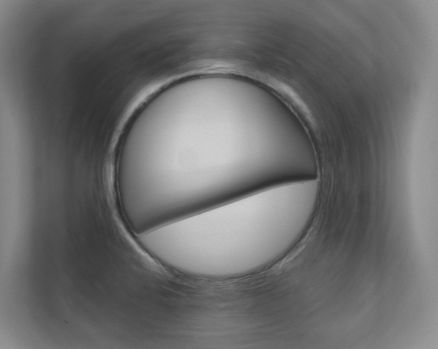X0000110901424200906180937